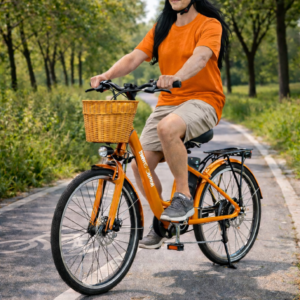 AVENIRE PARIS 48V 500W