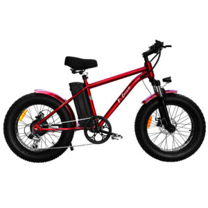 DAYMAK COYOTE 48V VÉLO ÉLECTRIQUE